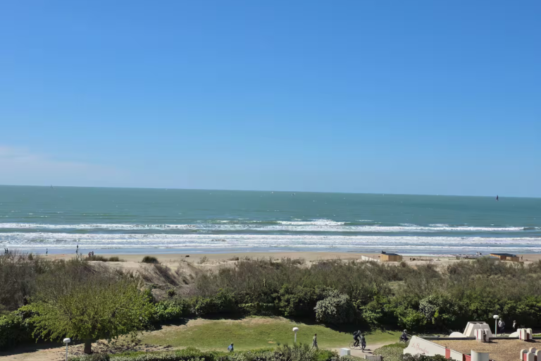 arena vue plage